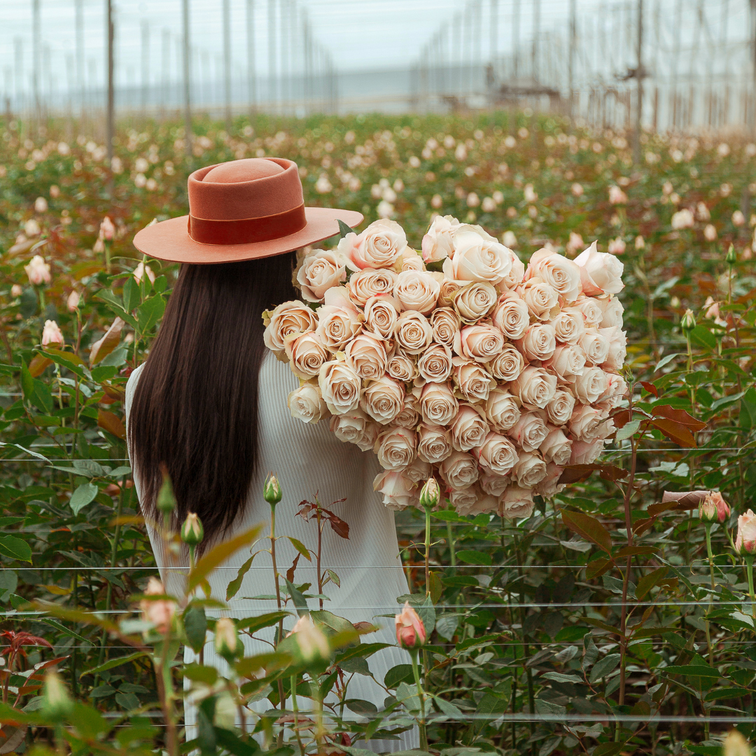 Woman at a flower farm holding a large bouquet of roses over her shoulder.